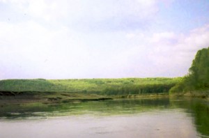 Река Ворона, Тамбовская область
