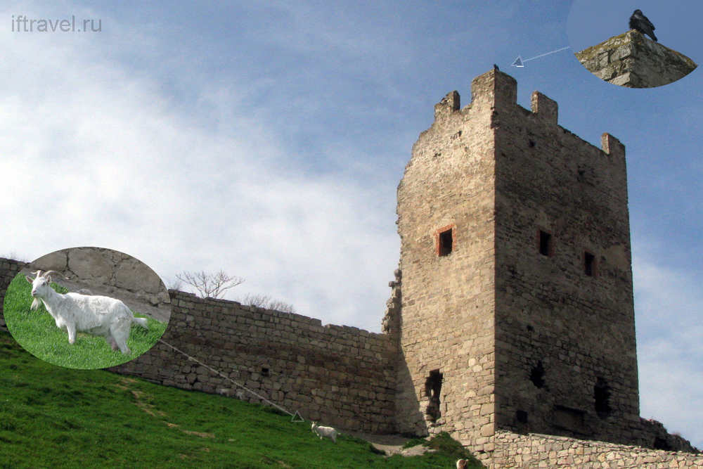 Генуэзская крепость, Феодосия