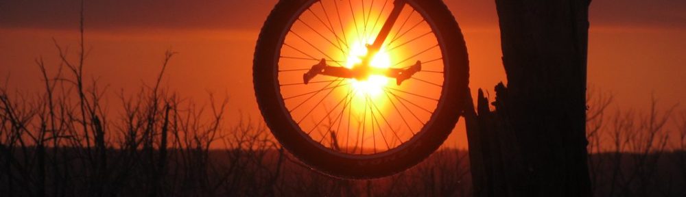 Уницикл (моноцикл) — одноколесный велосипед